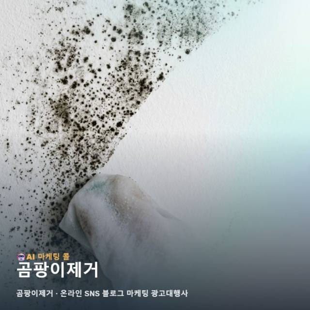 곰팡이제거를 처음 접한다면 마케팅 광고대행 기준부터 살펴보세요 관련 이미지 1